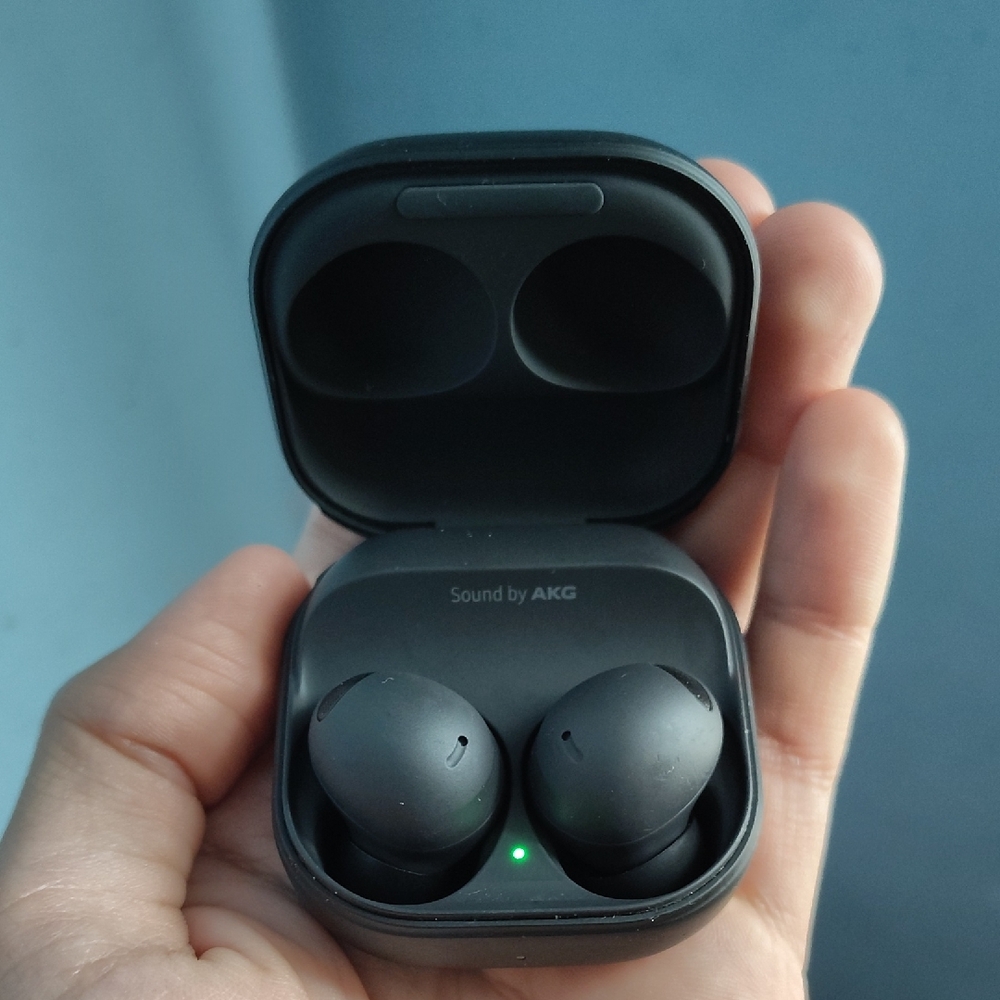 Galaxy Buds 2 Pro In Black (Obviously)